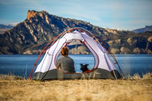 patrick-hendry-424259-unsplash